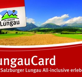 lungaucard.jpg